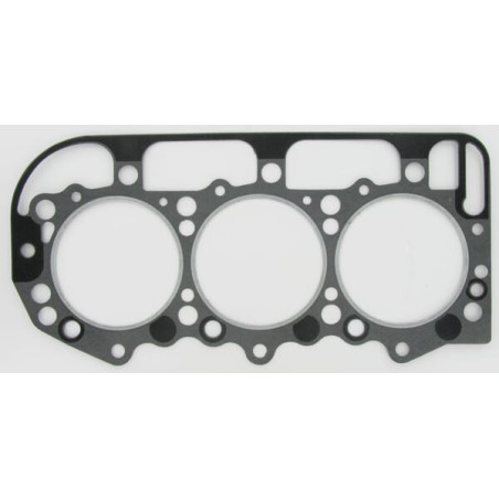 Joint GLASER DANA 81819541N