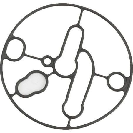 Joint BRIGGS ET STRATTON 695426
