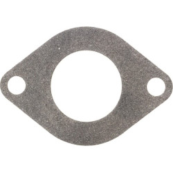 Joint BRIGGS ET STRATTON 590396