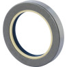 Joint CARRARO CI119990