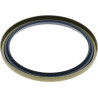 Joint CARRARO CI120717