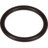Joint BERTOLINI 803065002