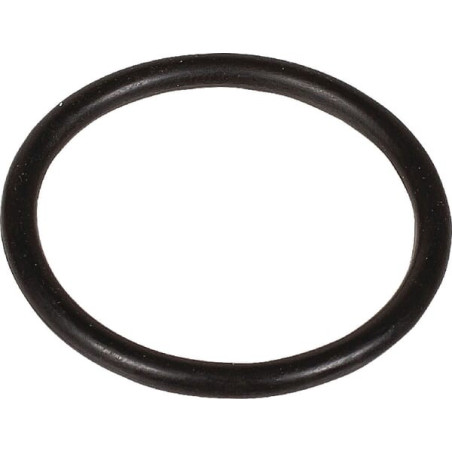 Joint BERTOLINI 803219102