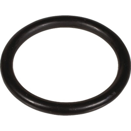 Joint BERTOLINI 803320602