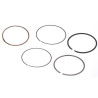 Kit BRIGGS ET STRATTON 843953