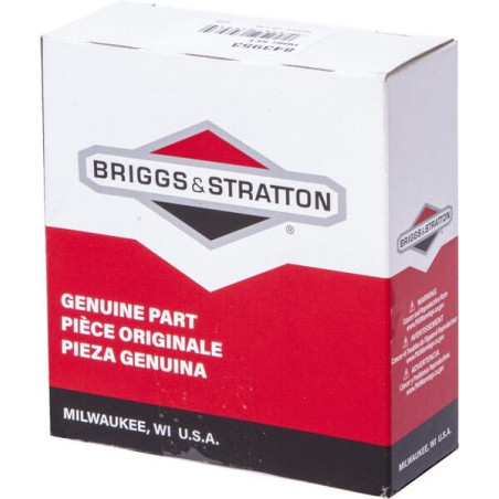 Kit BRIGGS ET STRATTON 843953