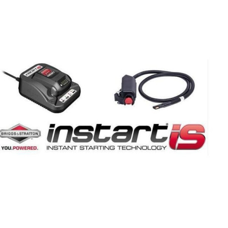 Kit BRIGGS ET STRATTON 995029