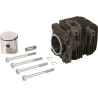Kit STIHL 42280201200