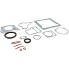 Kit LOMBARDINI 8205107