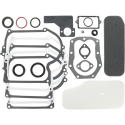 Kit BRIGGS ET STRATTON 393411