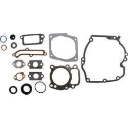 Kit BRIGGS ET STRATTON 496055