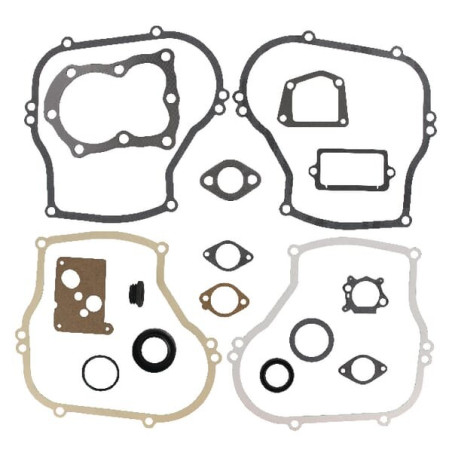 Kit BRIGGS ET STRATTON 496659