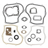 Kit BRIGGS ET STRATTON 496659