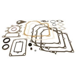 Kit BRIGGS ET STRATTON 495993