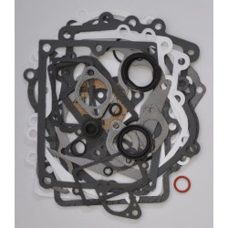 Kit BRIGGS ET STRATTON 495868