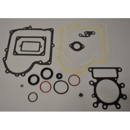 Kit BRIGGS ET STRATTON 691580