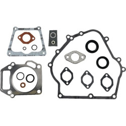 Kit BRIGGS ET STRATTON 715124
