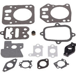 Kit BRIGGS ET STRATTON 795441