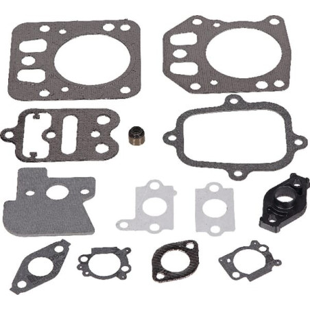 Kit BRIGGS ET STRATTON 795441