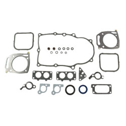 Kit BRIGGS ET STRATTON 842658