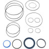 Kit DANFOSS OMT9AFDFX