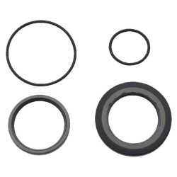 Kit DANFOSS OMS9AFDV