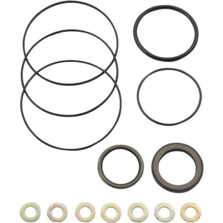 Kit DANFOSS OMP9AFD97