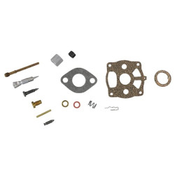 Kit BRIGGS ET STRATTON 291691