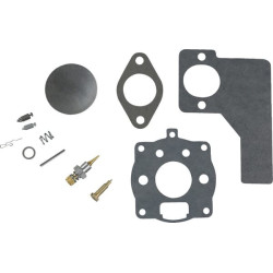 Kit BRIGGS ET STRATTON 394989