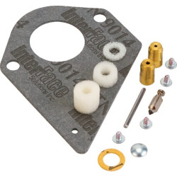 Kit BRIGGS ET STRATTON 498116