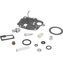 Kit BRIGGS ET STRATTON 494623