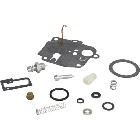 Kit BRIGGS ET STRATTON 494623