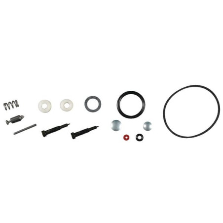 Kit BRIGGS ET STRATTON 494349
