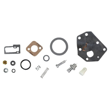 Kit BRIGGS ET STRATTON 494622
