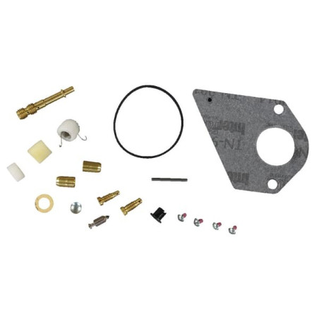 Kit BRIGGS ET STRATTON 497481