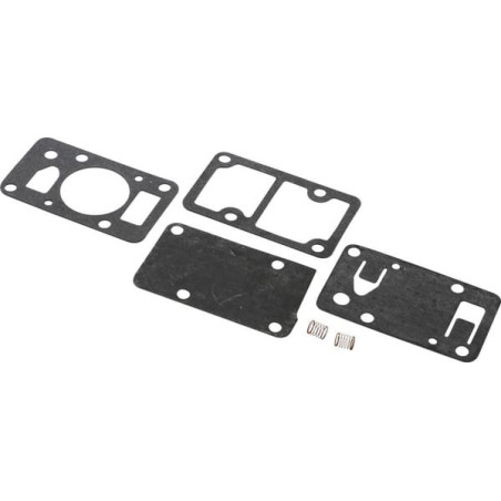 Kit BRIGGS ET STRATTON 394462