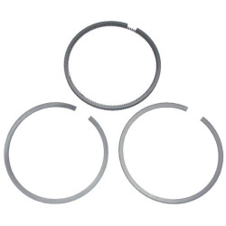 Kit BRIGGS ET STRATTON 499921