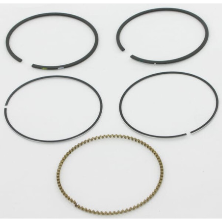 Kit BRIGGS ET STRATTON 793517