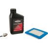 Kit BRIGGS ET STRATTON 992244WM