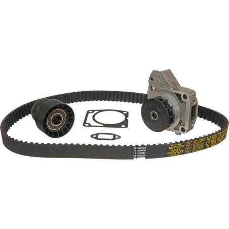 Kit LOMBARDINI 4898076