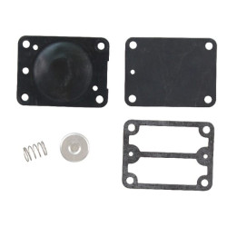 Kit BRIGGS ET STRATTON 693502