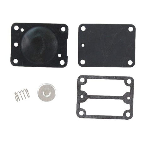 Kit BRIGGS ET STRATTON 693502