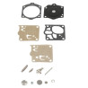Kit WALBRO K10WJ