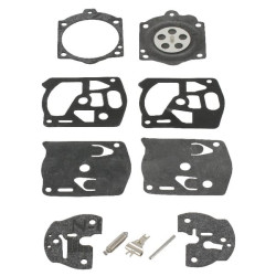 Kit WALBRO K10WS