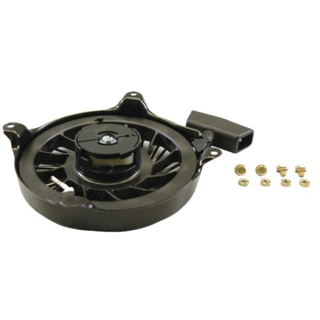 Lanceur BRIGGS ET STRATTON 497830
