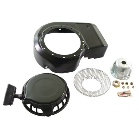 Lanceur BRIGGS ET STRATTON 499916