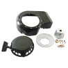 Lanceur BRIGGS ET STRATTON 499916