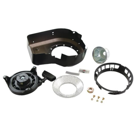 Lanceur BRIGGS ET STRATTON 499916