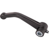 Levier GOLDONI 00029804