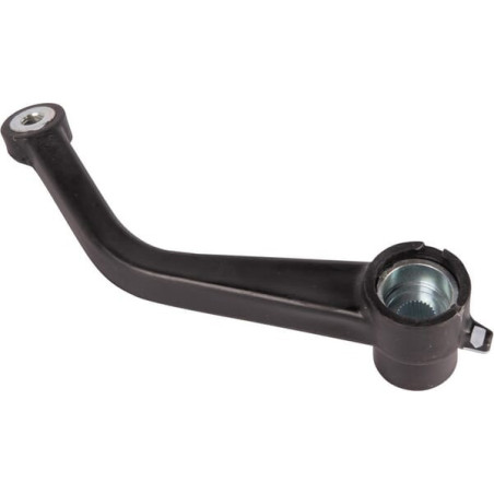 Levier GOLDONI 00029804